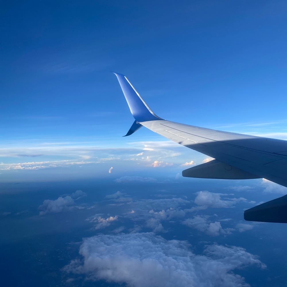 Meet your Posher, Carly